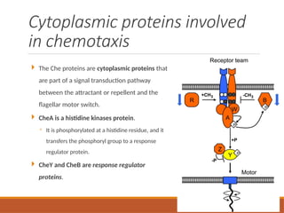 Comprehensive Overview of Two-Component Signalling and Stress Responses ...