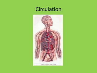 Circulation
 