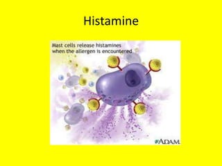Histamine
 