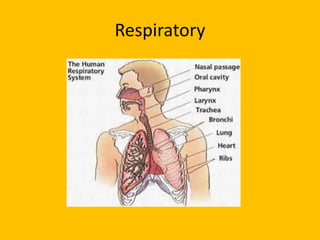 Respiratory
 