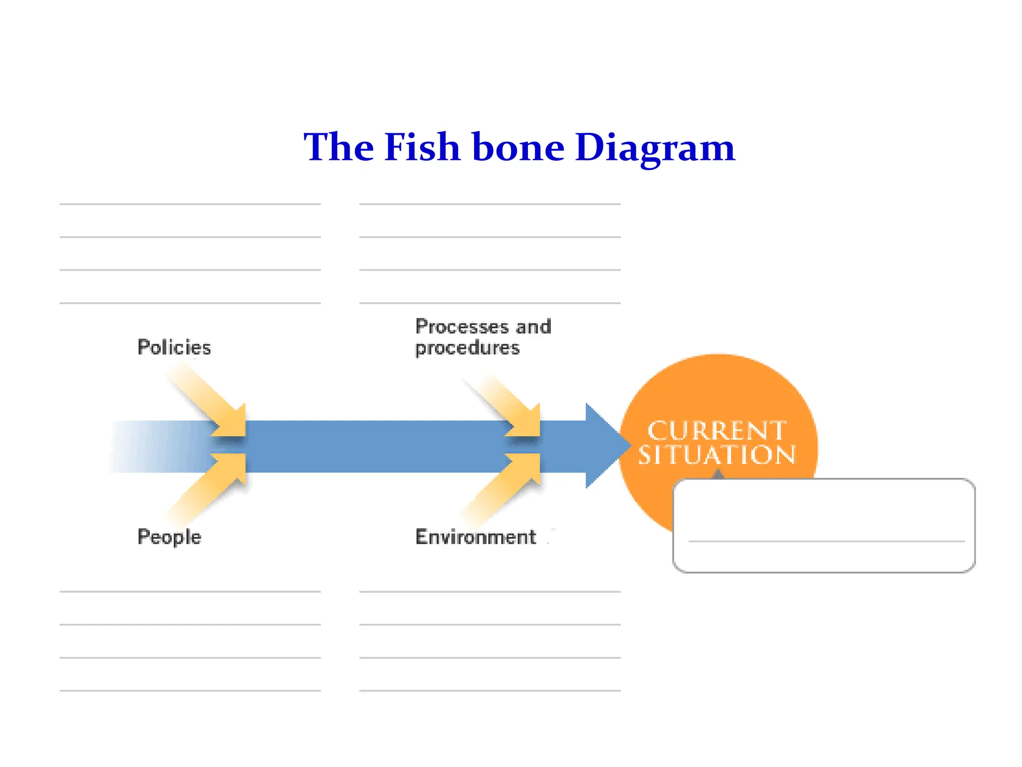 The Fish bone Diagram
 