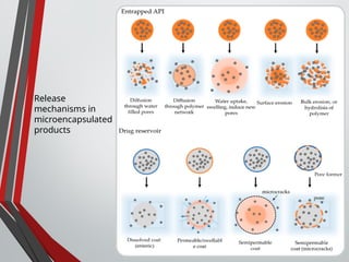 Release
mechanisms in
microencapsulated
products
 