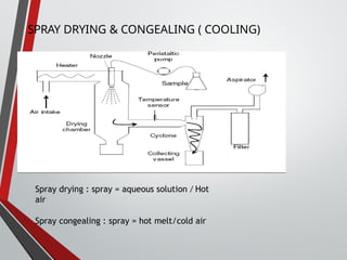 SPRAY DRYING & CONGEALING ( COOLING)
Spray drying : spray = aqueous solution / Hot
air
Spray congealing : spray = hot melt/cold air
 