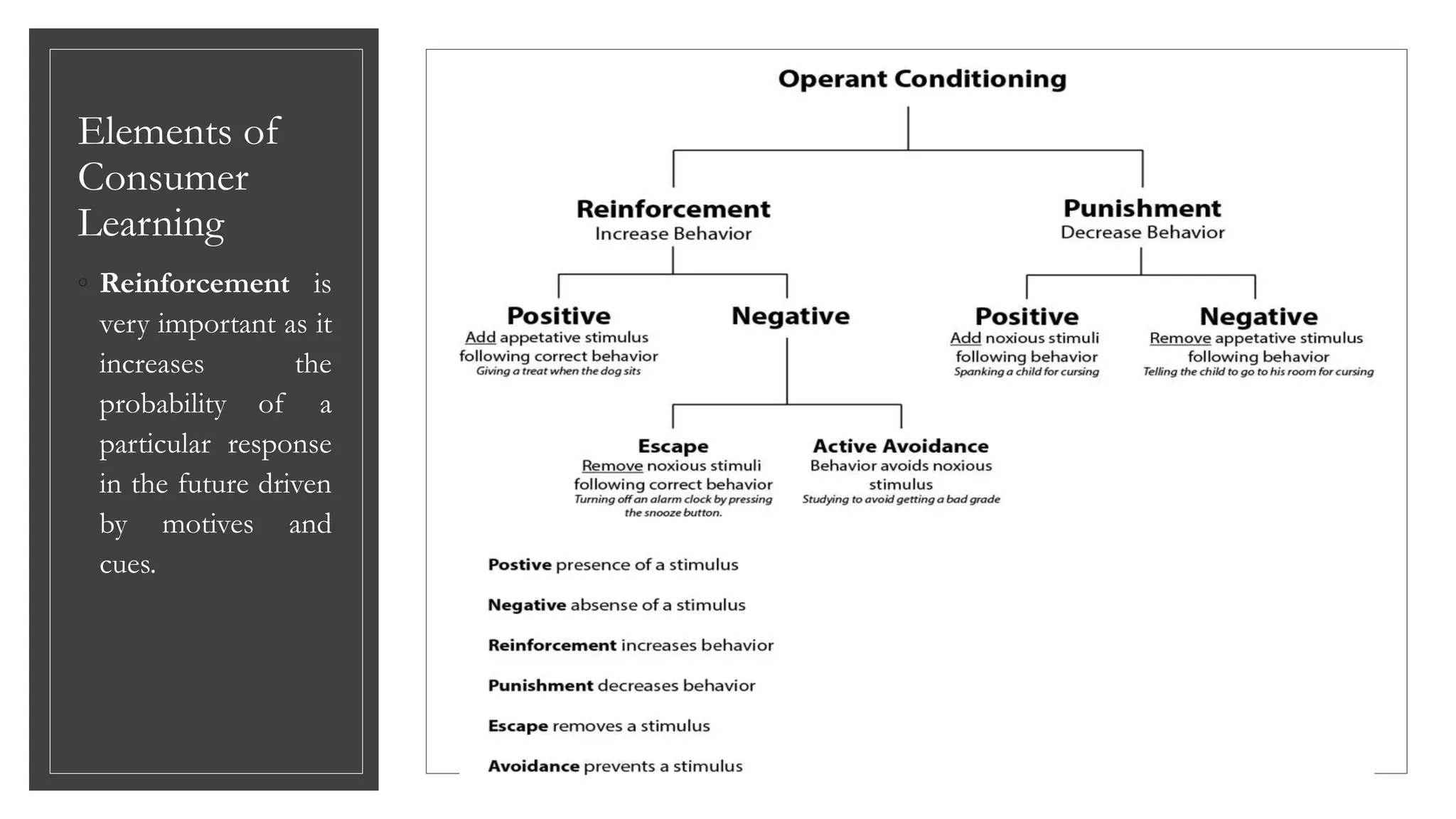 Elements of
Consumer
Learning
◦ Reinforcement is
very important as it
increases the
probability of a
particular response
in the future driven
by motives and
cues.
 
