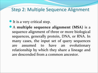 Multiple Sequence Alignment-just glims of viewes on bioinformatics. | PPT