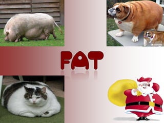 Unit 2 my body