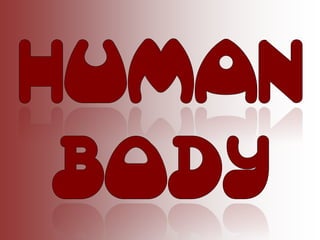 Unit 2 my body