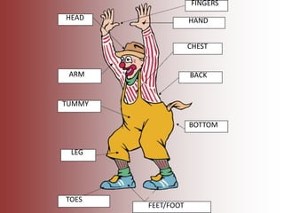 HEAD
ARM
TUMMY
LEG
TOES
HAND
FINGERS
CHEST
BACK
BOTTOM
FEET/FOOT
 