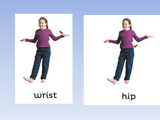 Unit 2 "The Senses and movement"