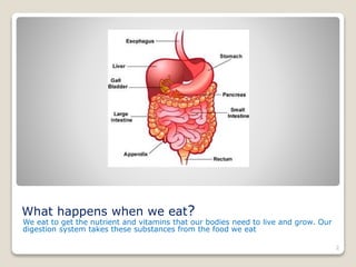 What happens when we eat?
We eat to get the nutrient and vitamins that our bodies need to live and grow. Our
digestion sys...
