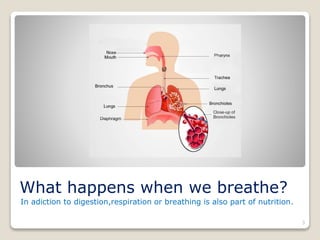 What happens when we breathe?
In adiction to digestion,respiration or breathing is also part of nutrition.
3
 