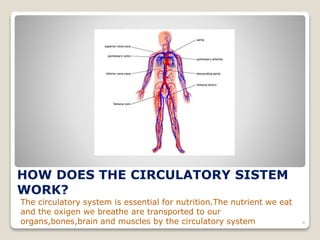 HOW DOES THE CIRCULATORY SISTEM
WORK?
The circulatory system is essential for nutrition.The nutrient we eat
and the oxigen we breathe are transported to our
organs,bones,brain and muscles by the circulatory system 4
 