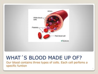WHAT´S BLOOD MADE UP OF?
Our blood contains three types of cells. Each cell perfoms a
specific funtion
5
 