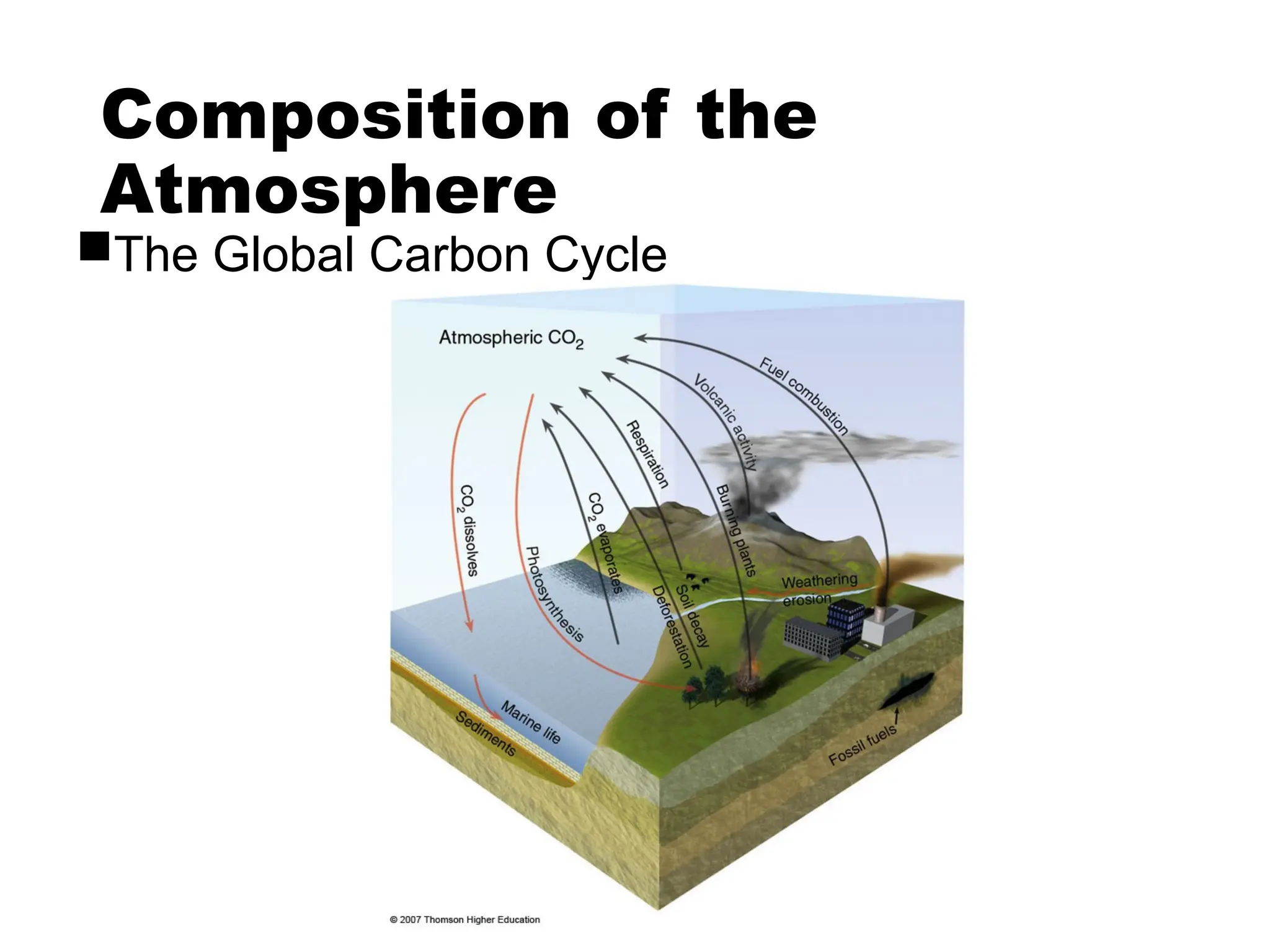 Composition of the
Atmosphere
The Global Carbon Cycle
 
