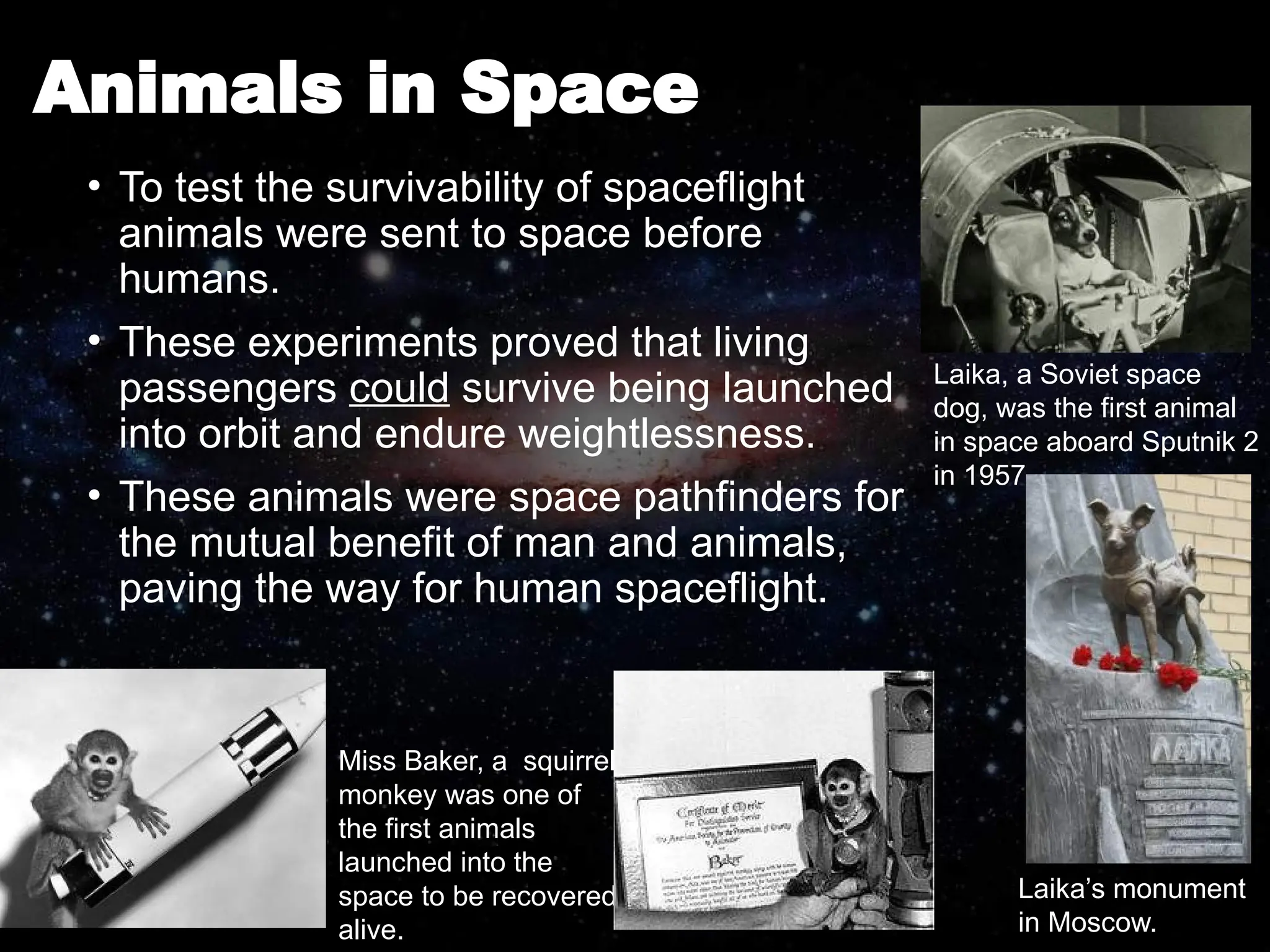 Animals in Space
• To test the survivability of spaceflight
animals were sent to space before
humans.
• These experiments proved that living
passengers could survive being launched
into orbit and endure weightlessness.
• These animals were space pathfinders for
the mutual benefit of man and animals,
paving the way for human spaceflight.
Miss Baker, a squirrel
monkey was one of
the first animals
launched into the
space to be recovered
alive.
Laika, a Soviet space
dog, was the first animal
in space aboard Sputnik 2
in 1957.
Laika’s monument
in Moscow.
 