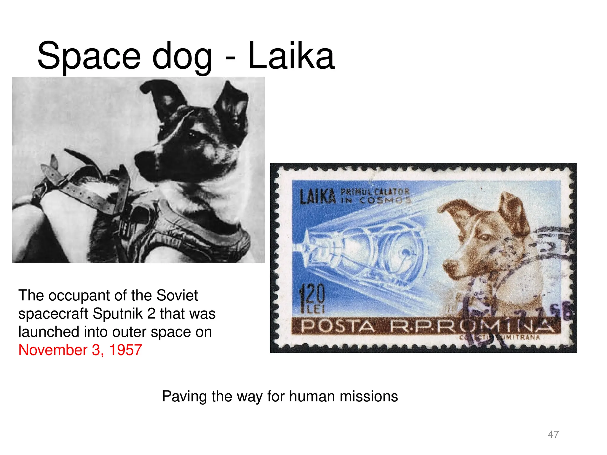 Space dog - Laika
47
The occupant of the Soviet
spacecraft Sputnik 2 that was
launched into outer space on
November 3, 1957
Paving the way for human missions
 