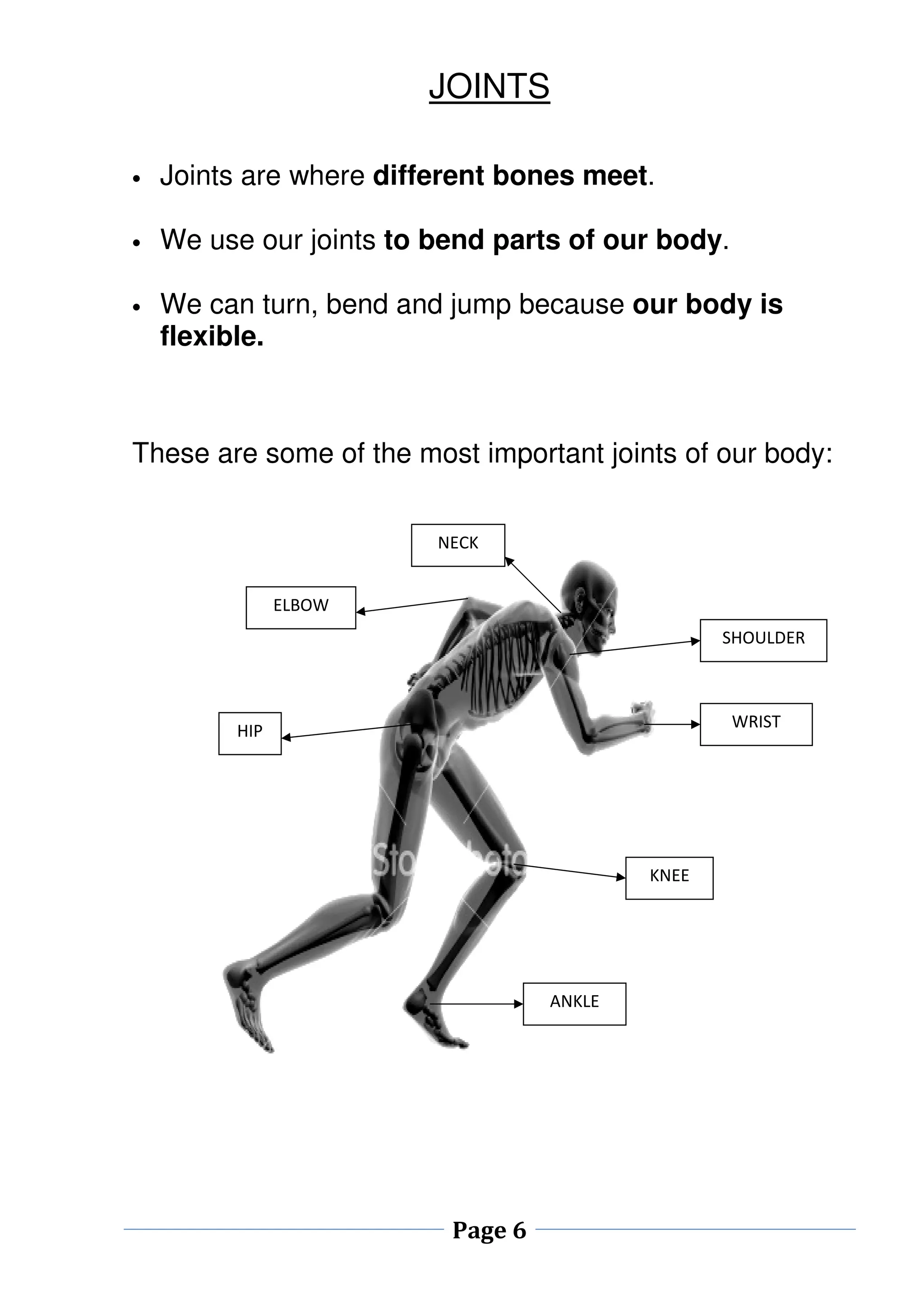JOINTS 
• Joints are where different bones meet. 
• We use our joints to bend parts of our body. 
• We can turn, bend and jump because our body is 
Page 6 
flexible. 
These are some of the most important joints of our body: 
NECK 
ELBOW 
HIP 
SHOULDER 
WRIST 
KNEE 
ANKLE 
 
