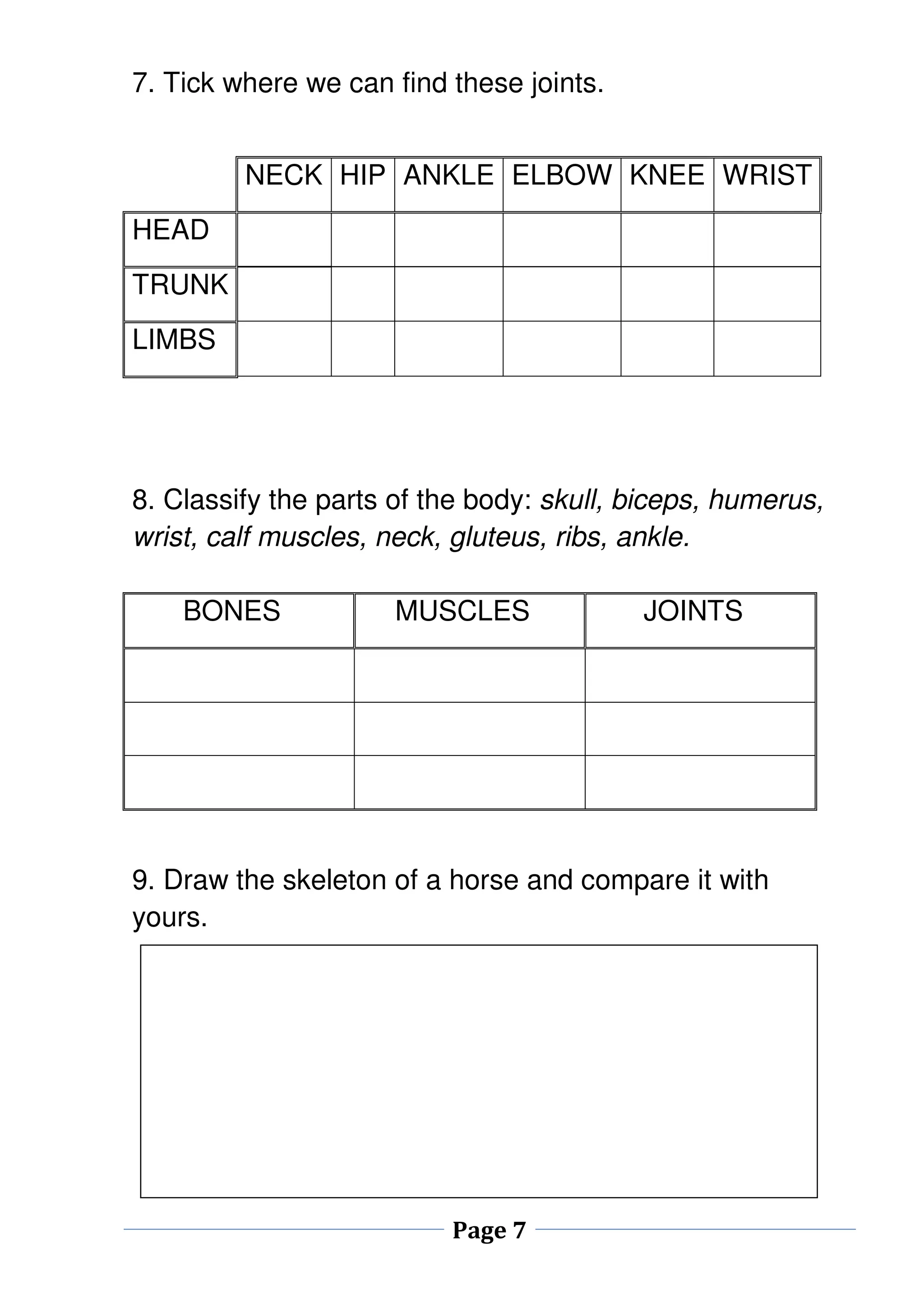 7. Tick where we can find these joints. 
NECK HIP ANKLE ELBOW KNEE WRIST 
8. Classify the parts of the body: skull, biceps, humerus, 
wrist, calf muscles, neck, gluteus, ribs, ankle. 
9. Draw the skeleton of a horse and compare it with 
yours. 
Page 7 
HEAD 
TRUNK 
LIMBS 
BONES MUSCLES JOINTS 
 