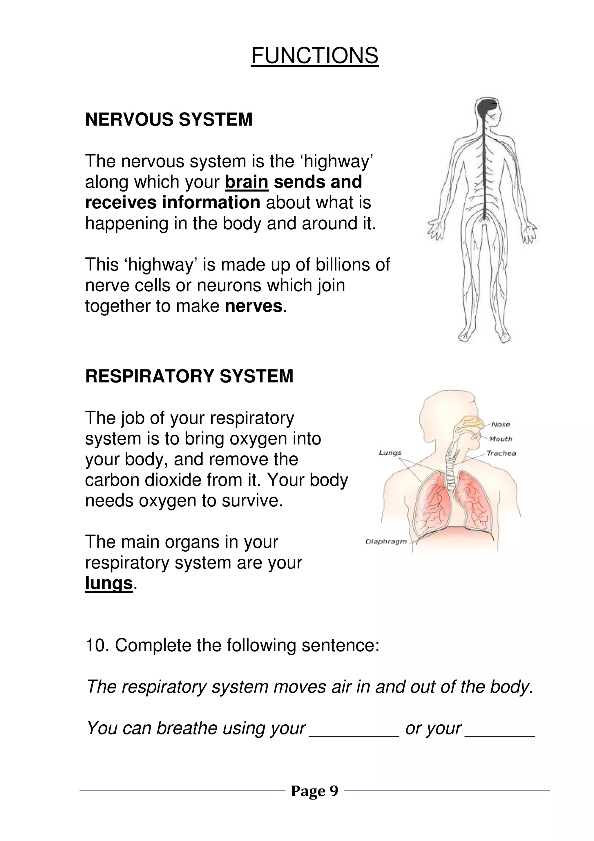 FUNCTIONS 
Page 9 
NERVOUS SYSTEM 
The nervous system is the ‘highway’ 
along which your brain sends and 
receives information about what is 
happening in the body and around it. 
This ‘highway’ is made up of billions of 
nerve cells or neurons which join 
together to make nerves. 
RESPIRATORY SYSTEM 
The job of your respiratory 
system is to bring oxygen into 
your body, and remove the 
carbon dioxide from it. Your body 
needs oxygen to survive. 
The main organs in your 
respiratory system are your 
lungs. 
10. Complete the following sentence: 
The respiratory system moves air in and out of the body. 
You can breathe using your _________ or your _______ 
 