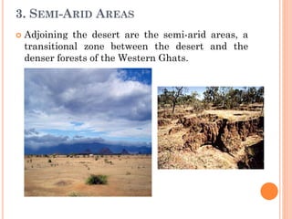 3. SEMI-ARID AREAS
 Adjoining the desert are the semi-arid areas, a
transitional zone between the desert and the
denser forests of the Western Ghats.
 