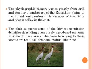  The physiographic scenery varies greatly from arid
and semi-arid landscapes of the Rajasthan Plains to
the humid and per-humid landscapes of the Delta
and Assam valley in the east.
 The plain supports some of the highest population
densities depending upon purely agro-based economy
in some of these areas. The trees belonging to these
forests are teak, sal, shisham, mahua, khair etc.
 