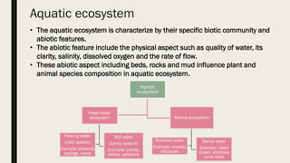 Lotic System Examples UNIT2_PART2_PDF.pdf