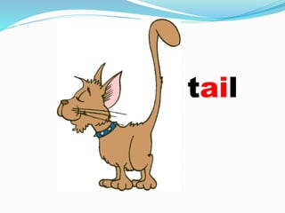 tail
 