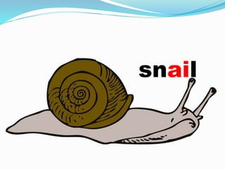 snail
 