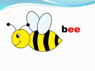 bee
 