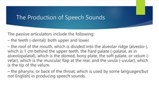 The Production of Speech Sounds
The passive articulators include the following:
– the teeth (-dental): both upper and lower.
– the roof of the mouth, which is divided into the alveolar ridge (alveolo-),
which is 1 cm behind the upper teeth, the hard palate (-palatal, as in
alveolopalatal), which is the domed, bony plate, the soft palate, or velum (-
velar), which is the muscular ﬂap at the rear, and the uvula (-uvular), which
is the tip of the velum.
– the pharynx, or back of the throat, which is used by some languages(but
not English) in producing speech sounds.
 