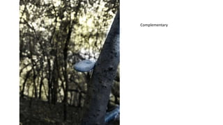 Unit 2 photography elements | PPTX