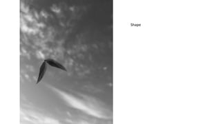 Unit 2 photography elements | PPTX