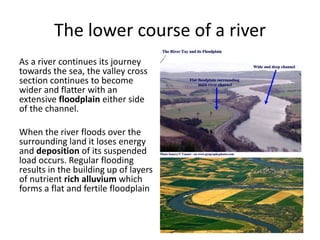 The lower course of a river
As a river continues its journey
towards the sea, the valley cross
section continues to become
wider and flatter with an
extensive floodplain either side
of the channel.
When the river floods over the
surrounding land it loses energy
and deposition of its suspended
load occurs. Regular flooding
results in the building up of layers
of nutrient rich alluvium which
forms a flat and fertile floodplain
 