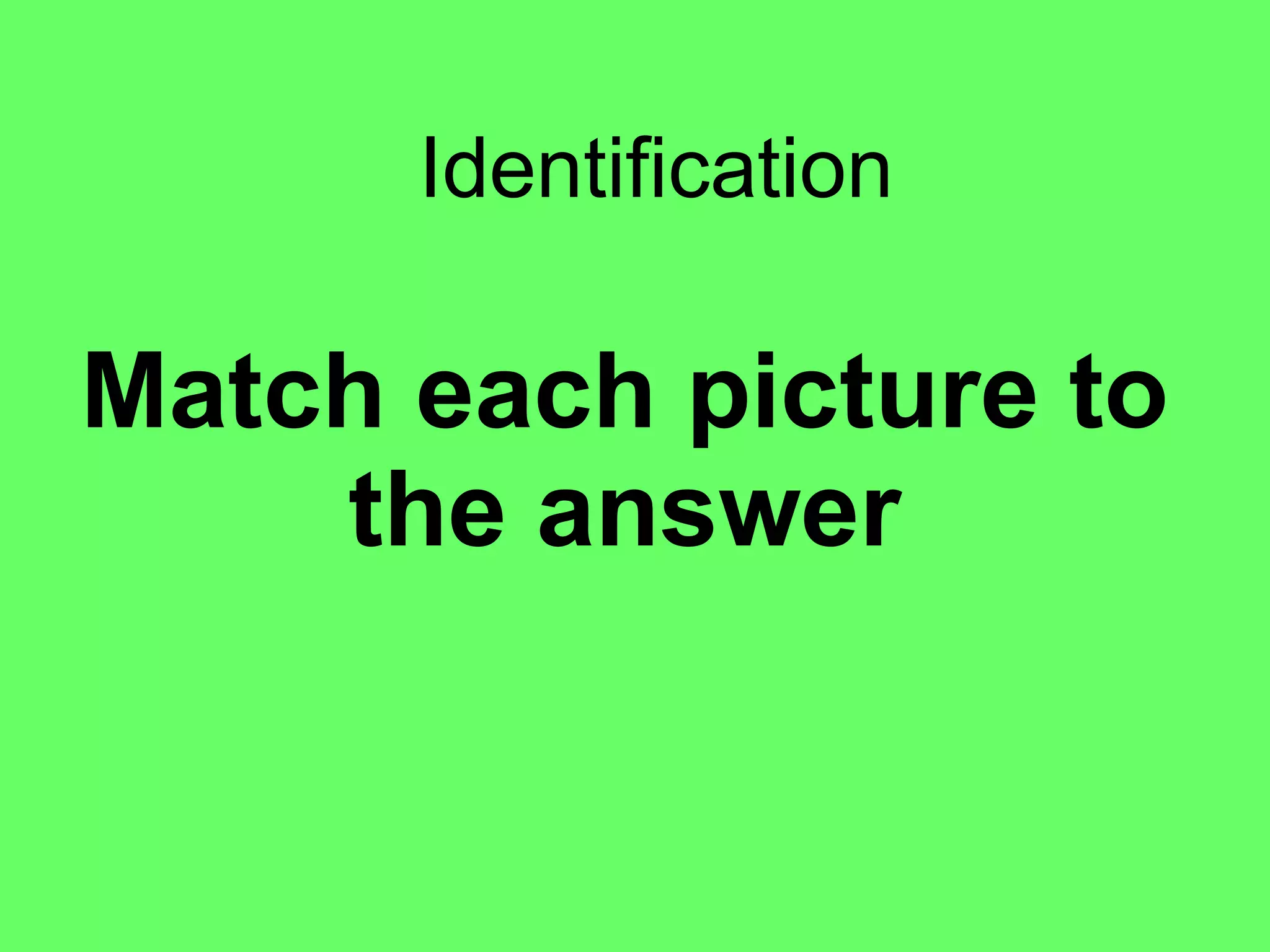 Match each picture to the answer Identification