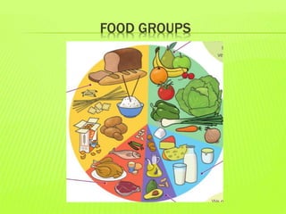 FOOD GROUPS