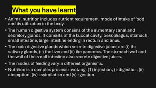 PPT FOR CBSE CLASS 7 SCIENCE UNIT 2 SCIENCE.pdf