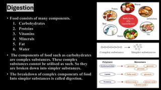 PPT FOR CBSE CLASS 7 SCIENCE UNIT 2 SCIENCE.pdf