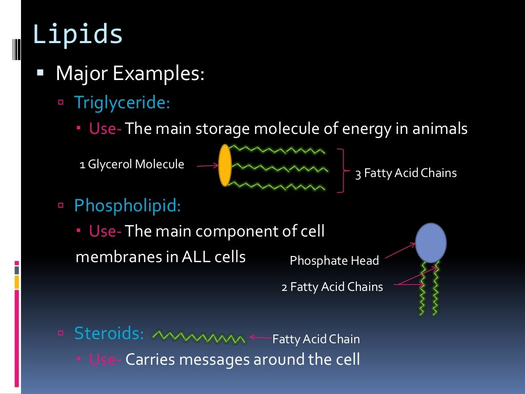 Carbohydrates and Lipids