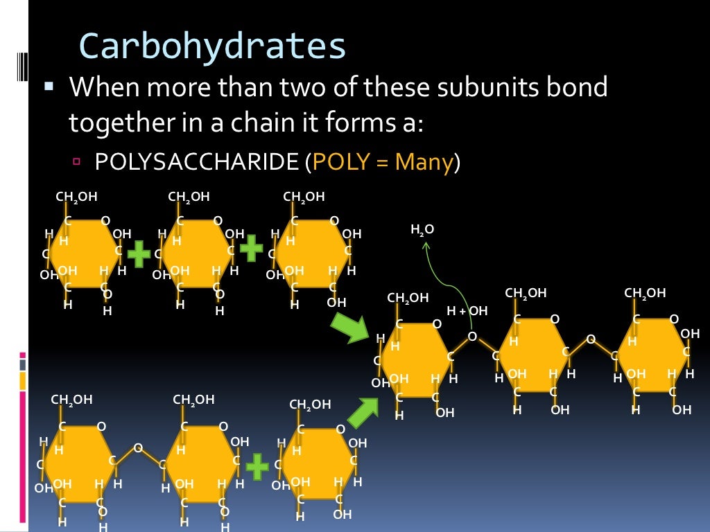 Carbohydrates and Lipids