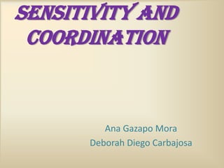 SENSITIVITY AND
COORDINATION

Ana Gazapo Mora
Deborah Diego Carbajosa

 