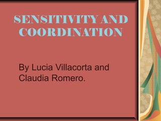 SENSITIVITY AND
COORDINATION
By Lucia Villacorta and
Claudia Romero.

 