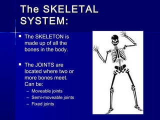 The SKELETAL
SYSTEM:


The SKELETON is
made up of all the
bones in the body.



The JOINTS are
located where two or
more bones meet.
Can be:
– Moveable joints
– Semi-moveable joints
– Fixed joints

 