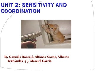 UNIT 2: SENSITIVIT Y AND
COORDINATION

By Gonzalo Barceló, Alfonso Cocho, Alberto
Fernández y J. Manuel García

 
