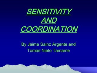 SENSITIVITY
AND
COORDINATION
By Jaime Sainz Argente and
Tomás Nieto Tamame

 