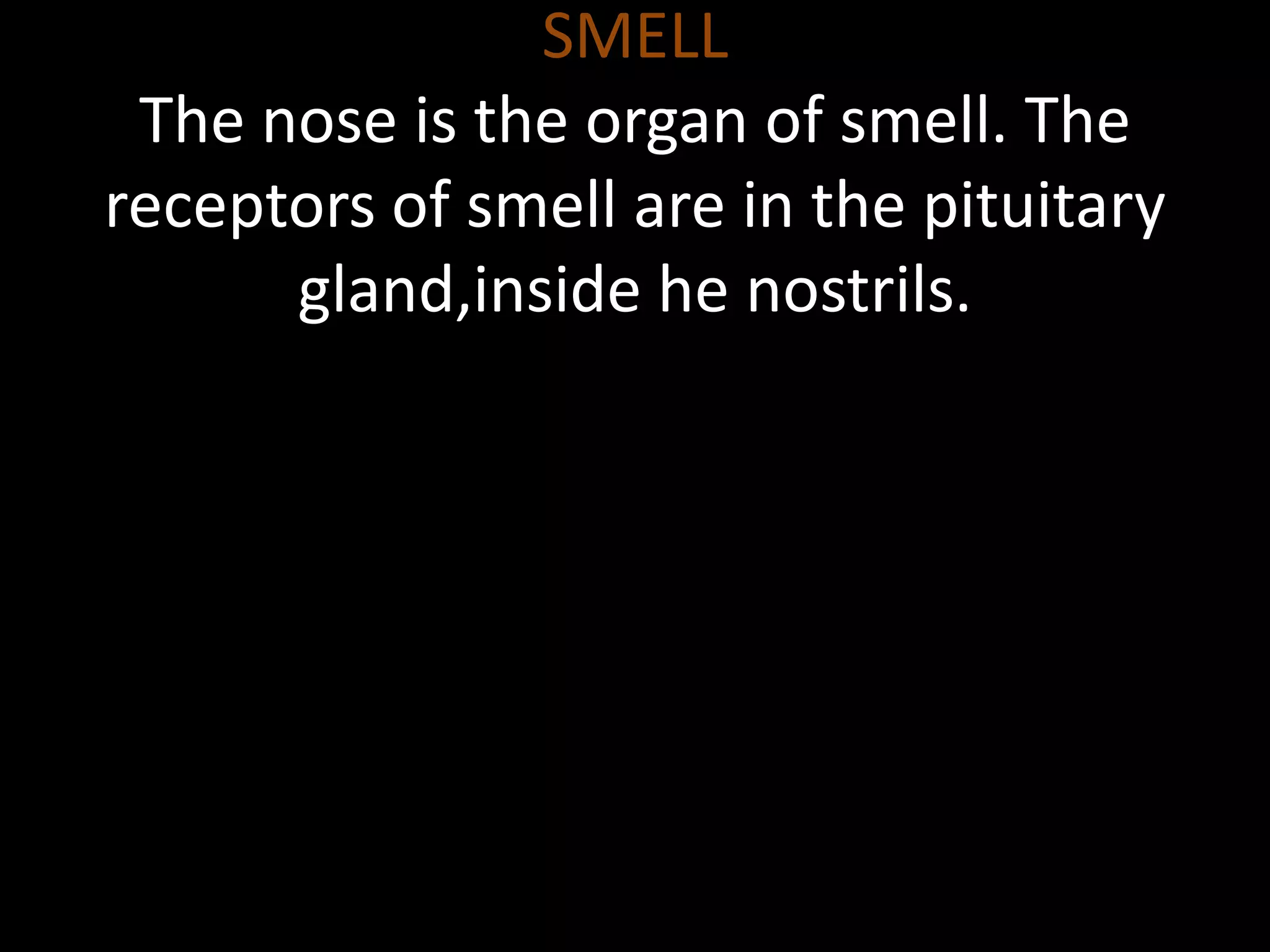 SMELL
The nose is the organ of smell. The
receptors of smell are in the pituitary
gland,inside he nostrils.
 