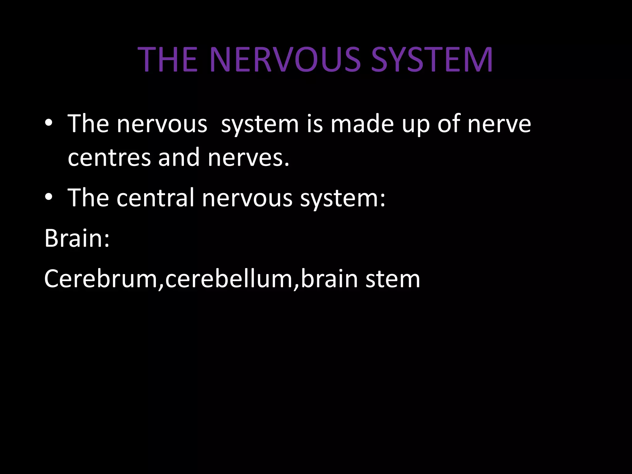 THE NERVOUS SYSTEM
• The nervous system is made up of nerve
centres and nerves.
• The central nervous system:
Brain:
Cerebrum,cerebellum,brain stem
 