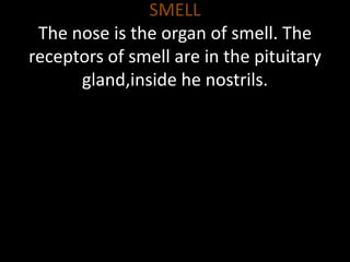 SMELL
The nose is the organ of smell. The
receptors of smell are in the pituitary
gland,inside he nostrils.
 