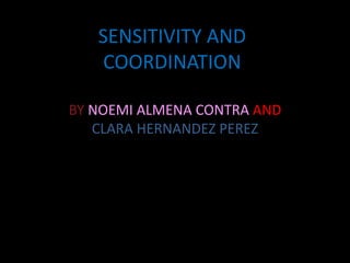 SENSITIVITY AND
COORDINATION
BY NOEMI ALMENA CONTRA AND
CLARA HERNANDEZ PEREZ
 