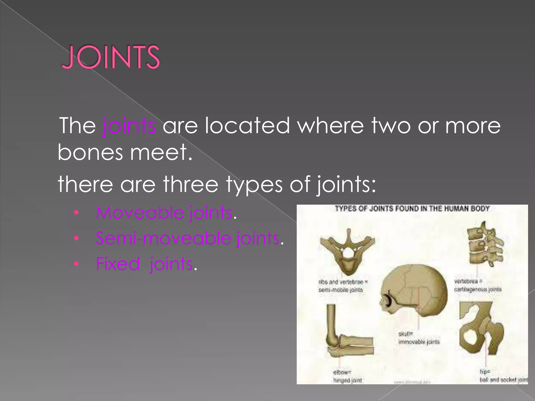 The joints are located where two or more
bones meet.
there are three types of joints:
• Moveable joints.
• Semi-moveable joints.
• Fixed joints.

 