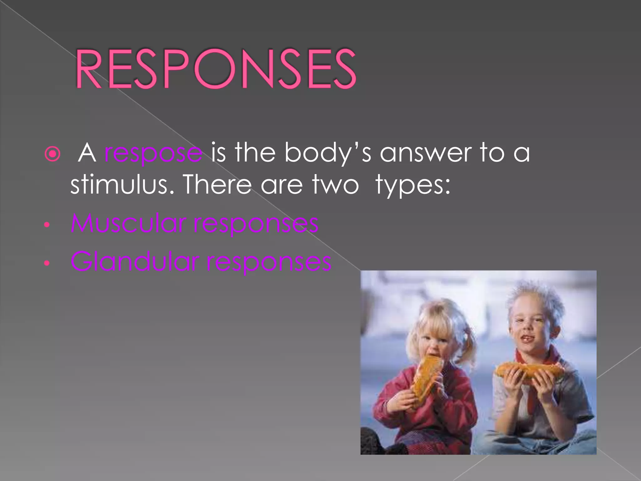 A respose is the body’s answer to a
stimulus. There are two types:
• Muscular responses
• Glandular responses


 